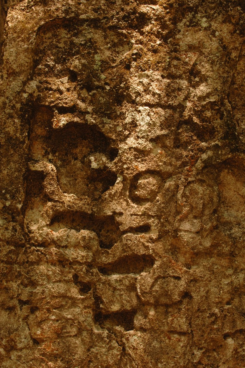 7319 Oxpemul; Maya; Antika kulturer; Maya; Mexiko; Maya Biosphere Reserve; Ivan Spr..., 2004 (foto) av Kenneth Garrett