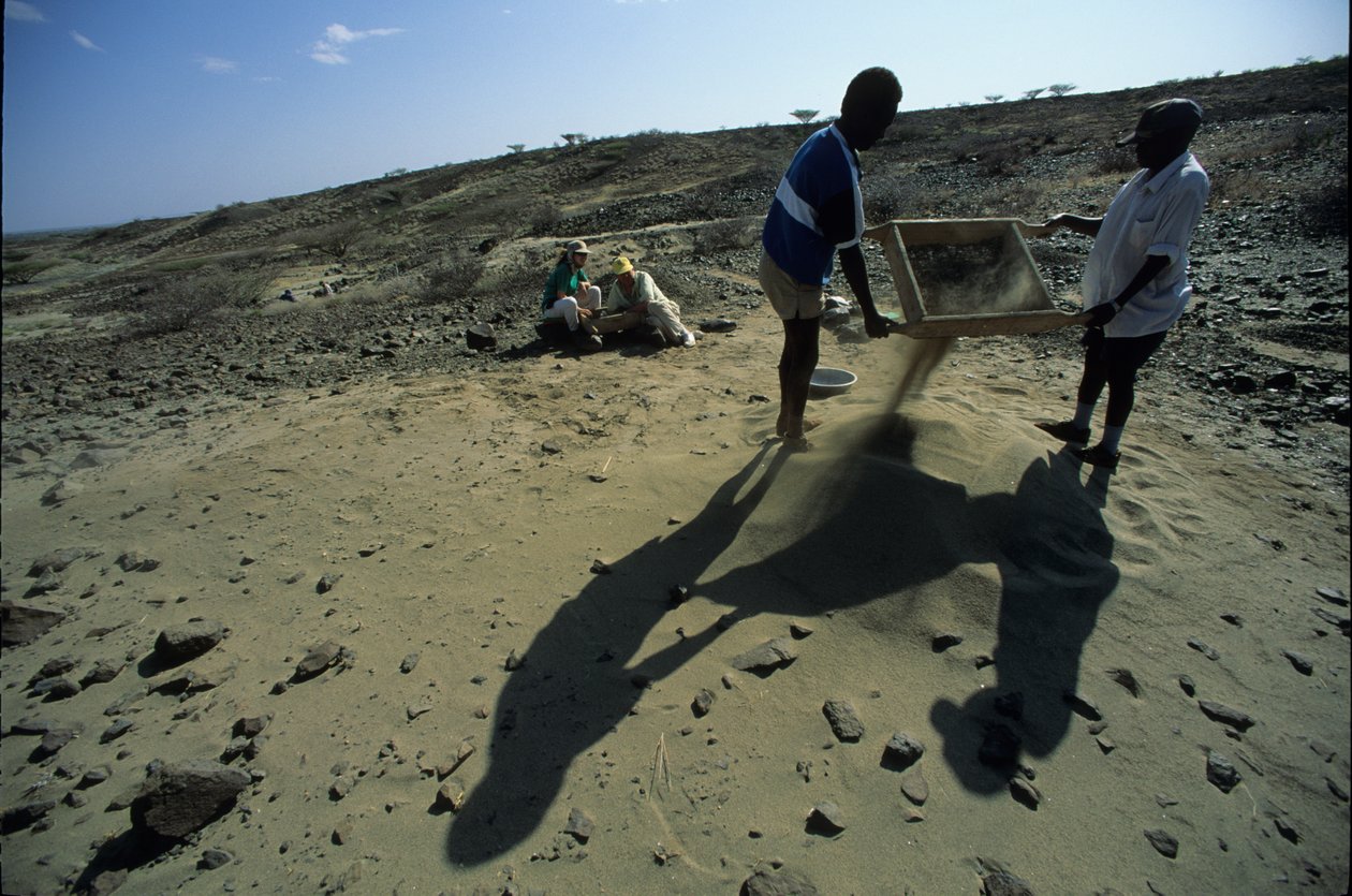 Allia Bay, Kenya; Turkana; Letar efter fossiler, Alan Walker, Pennsylvania State Unive... av Kenneth Garrett