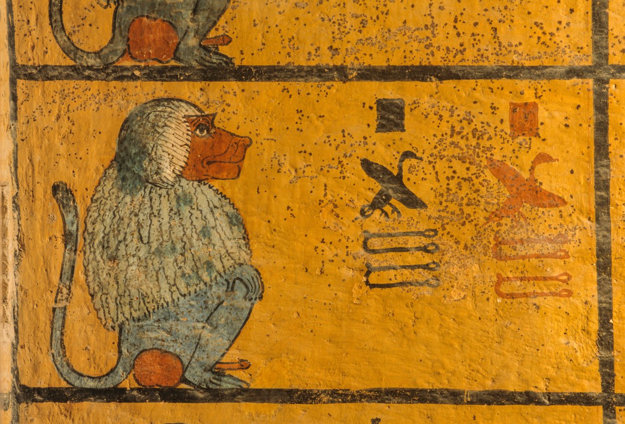 Babian, väggmålning i Tutankhamuns grav; KV52, Konungarnas dal, Thebe, ..., 2003 (foto) av Kenneth Garrett