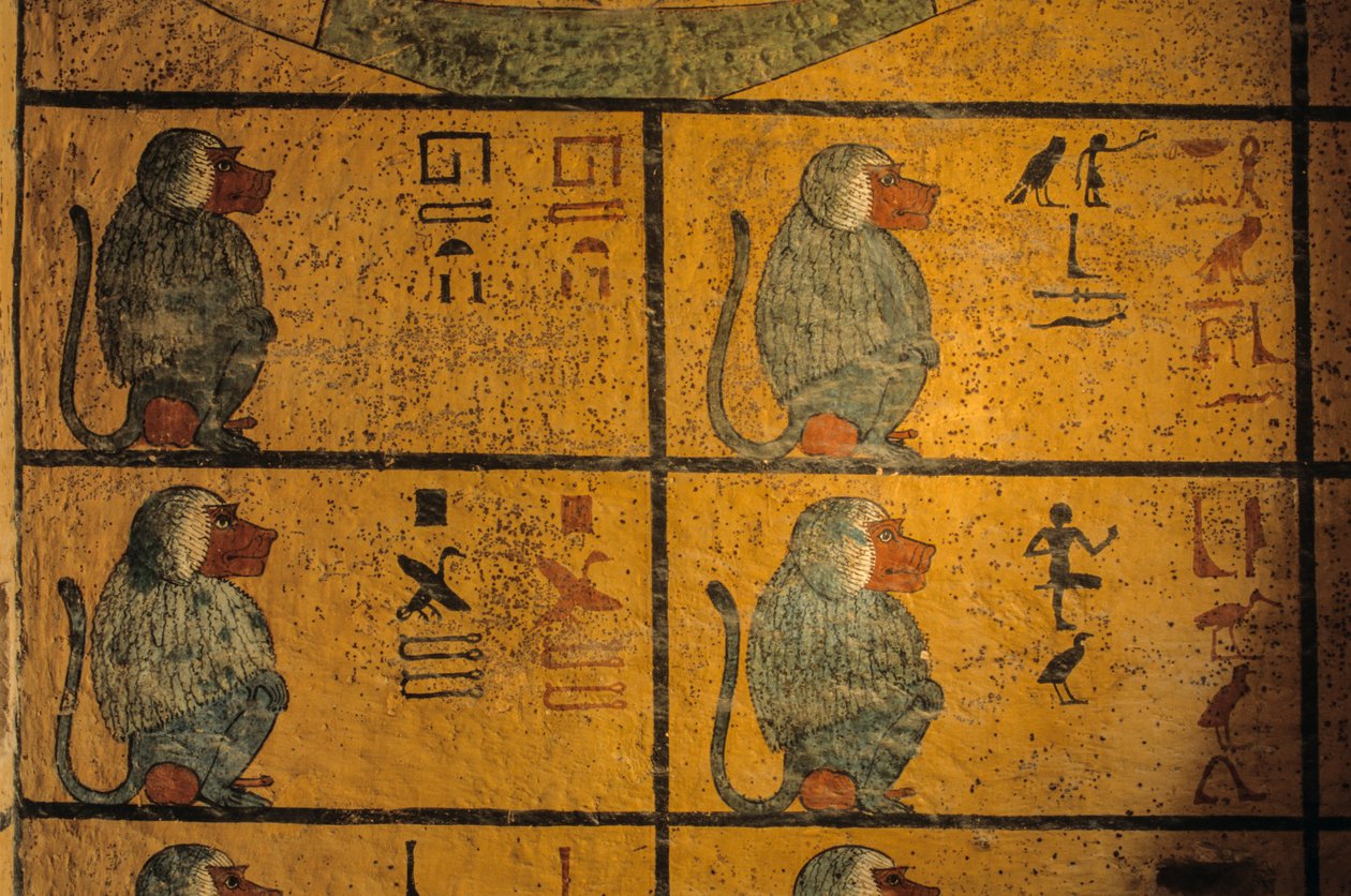 Babianer, väggmålning i Tutankhamuns grav; KV52, Konungarnas dal, Thebe..., 2003 (foto) av Kenneth Garrett