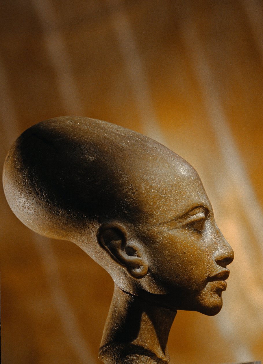 Sammansatt stenhuvud av en prinsessa från Amarna, en omfattande egyptisk arkeologisk..., 2009 (foto) av Kenneth Garrett