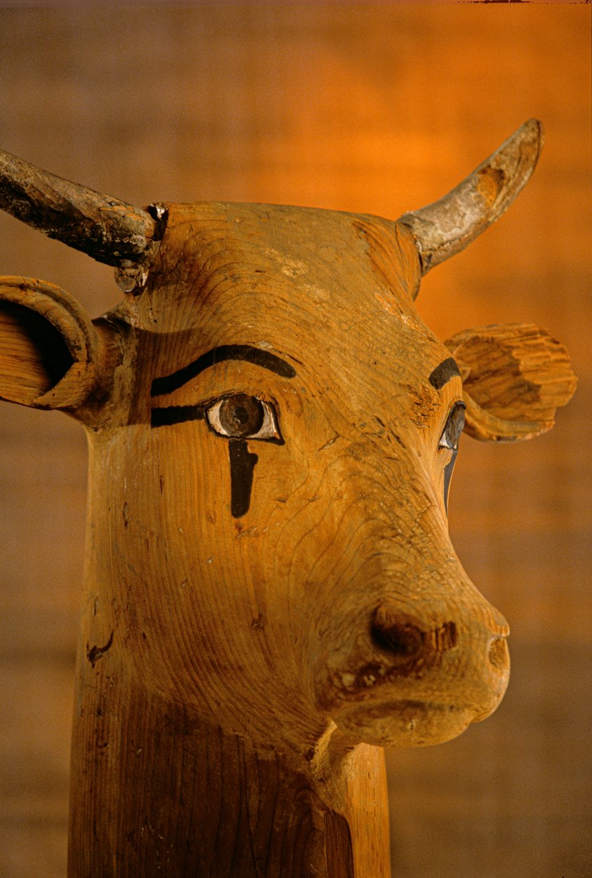 Skulptur av kohuvud, KV35; Amenhotep II, 2009 (foto) av Kenneth Garrett
