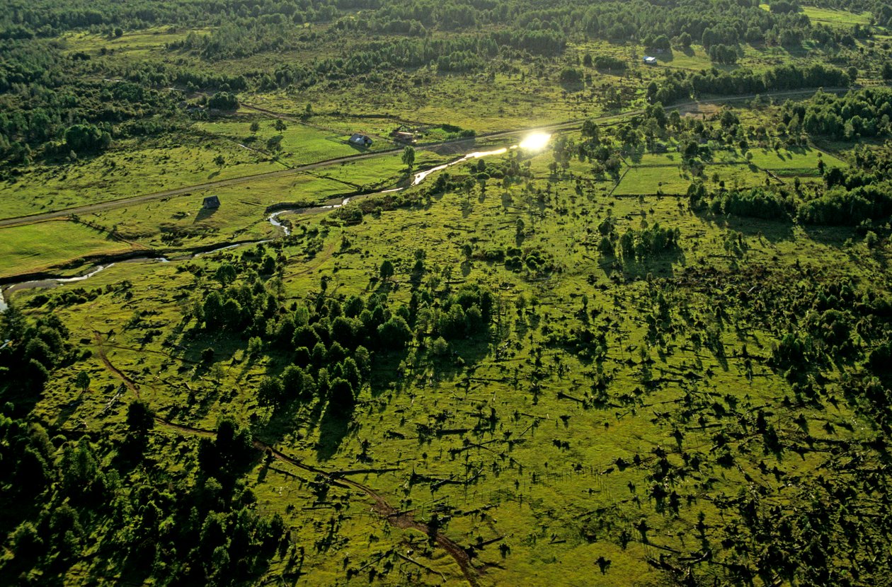 DOH, De äldsta amerikanerna, Chinchihuapi Creek, säsongsboende, jägare och samlare,..., 2008 (foto) av Kenneth Garrett