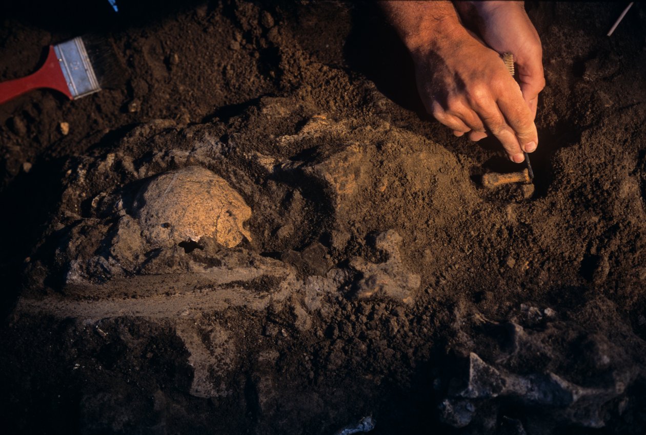 Dmanisi, Georgien, David Lordkipanidze, Homo Erectus av Kenneth Garrett