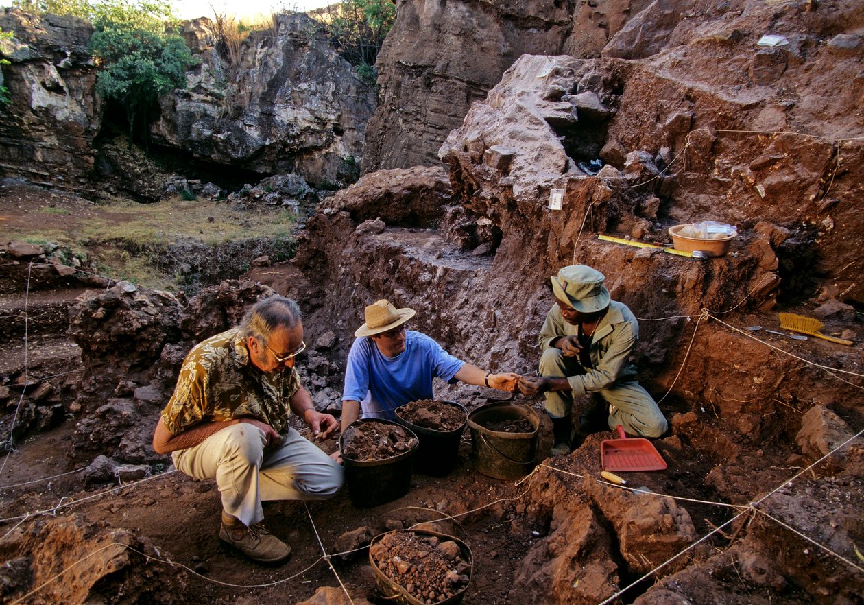 Drimolean Site, nära Johannesburg, Sydafrika, 2 miljoner år gammal hominid av Kenneth Garrett