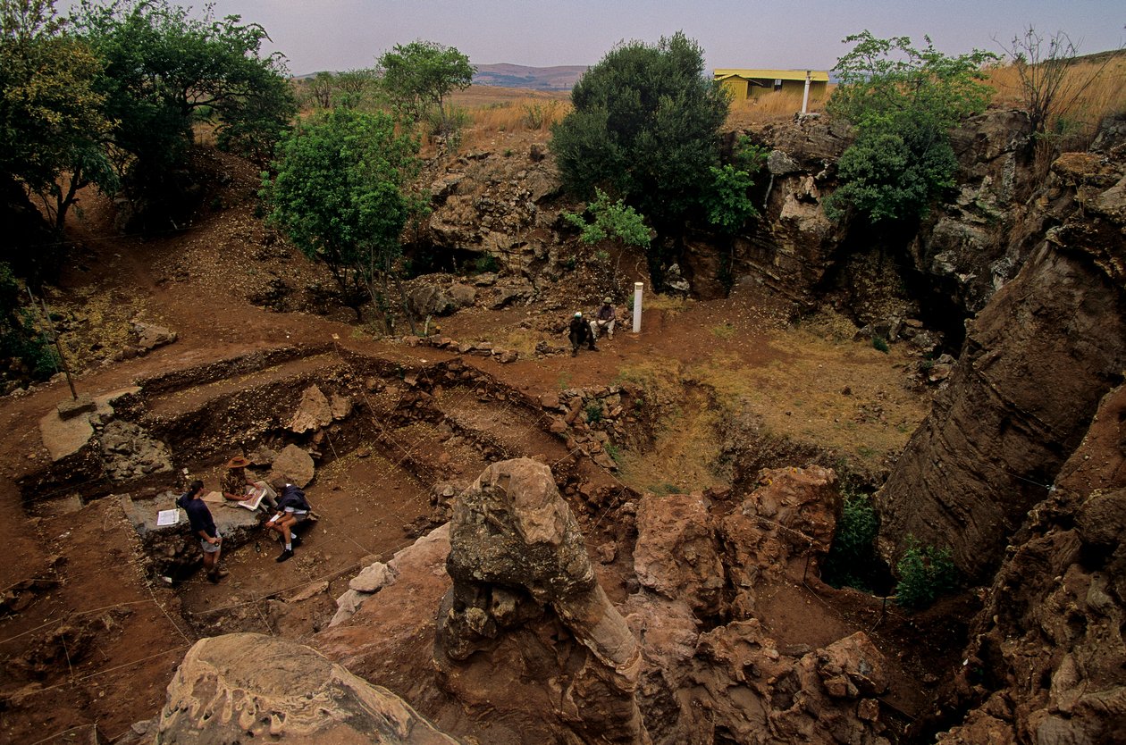 Drimolean Site, nära Johannesburg, Sydafrika, 2 miljoner år gammal hominid, av Kenneth Garrett