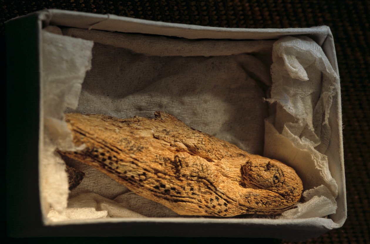 Kvinnofigur, predynastisk, Egypten, 2005 (foto) av Kenneth Garrett