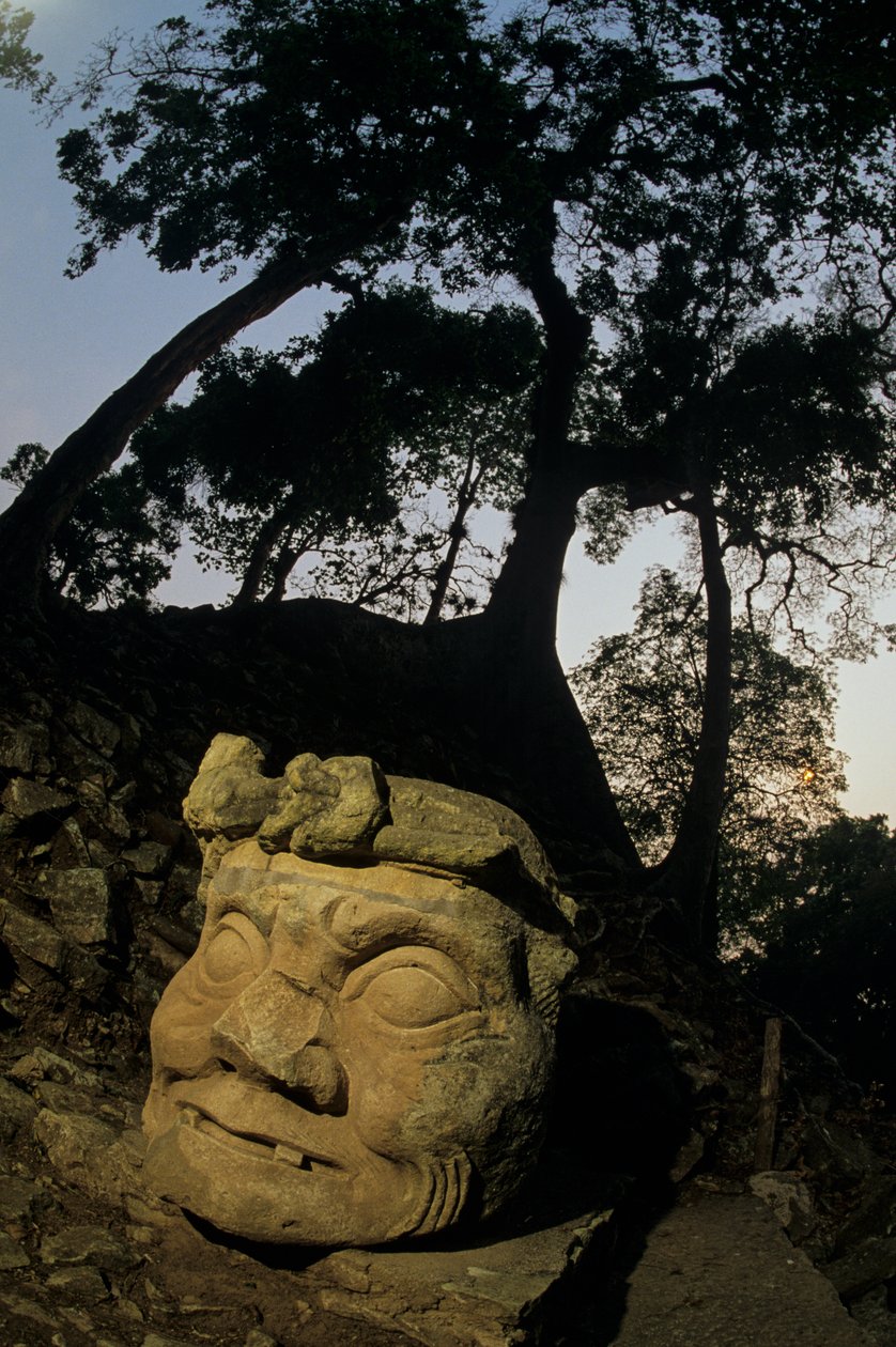 Gud N, Ceibaträd, tempel, Maya, Copan, Honduras, klassisk tid av Kenneth Garrett