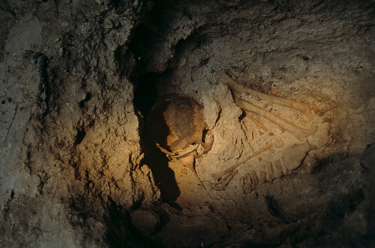 Mänskliga kvarlevor, Homul Center, Holmul, Guatemala, Maya, Francisco Estradabelli, 2008 (foto) av Kenneth Garrett
