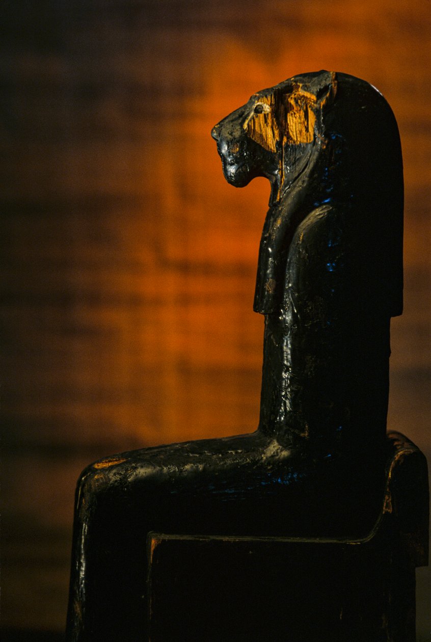 Staty av Leoninska gudinnan, Amenhotep II; Leoninska gudinnan; KV 35; Trä, 2009 (foto) av Kenneth Garrett