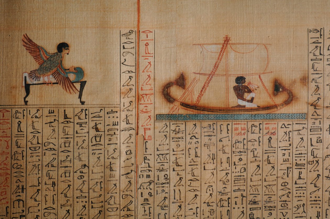 Maiherpri Papyrus, De dödas bok, från en grav utan plundring i Konungarnas dal, Ma..., 2007 (foto) av Kenneth Garrett