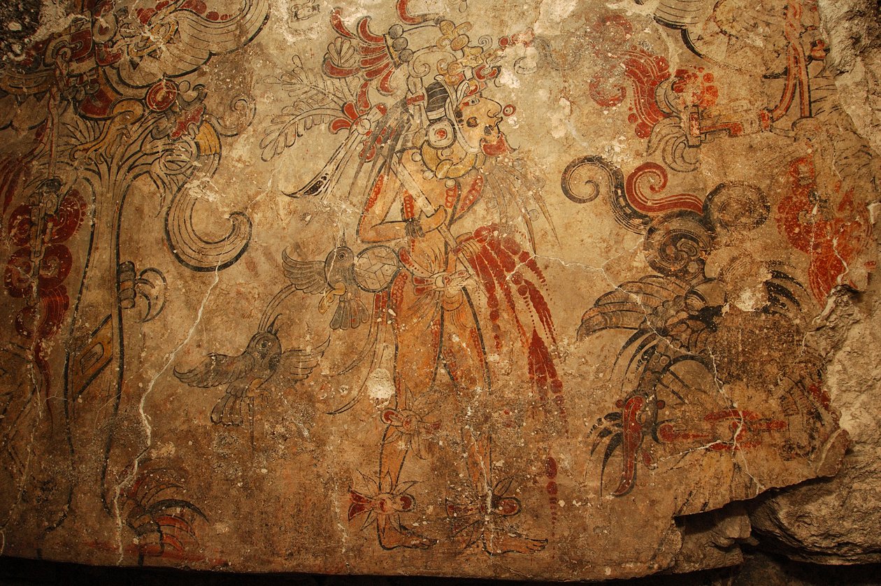 Maya; Maya-målningar; San Bartolo; Guatemala; Dr Bill Saturno, 2005 (foto) av Kenneth Garrett