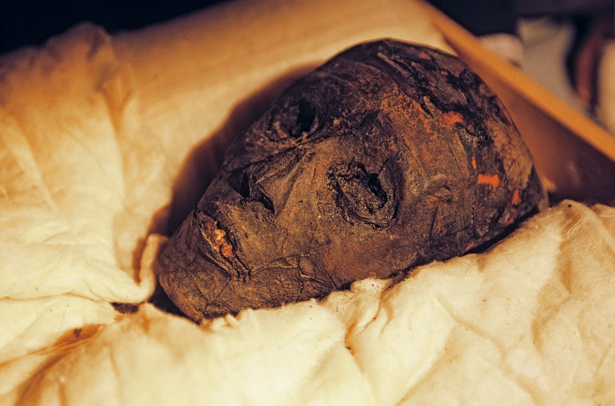 Mumiehuvud och ansikte av kung Tutankhamon, 2005 (foto) av Kenneth Garrett