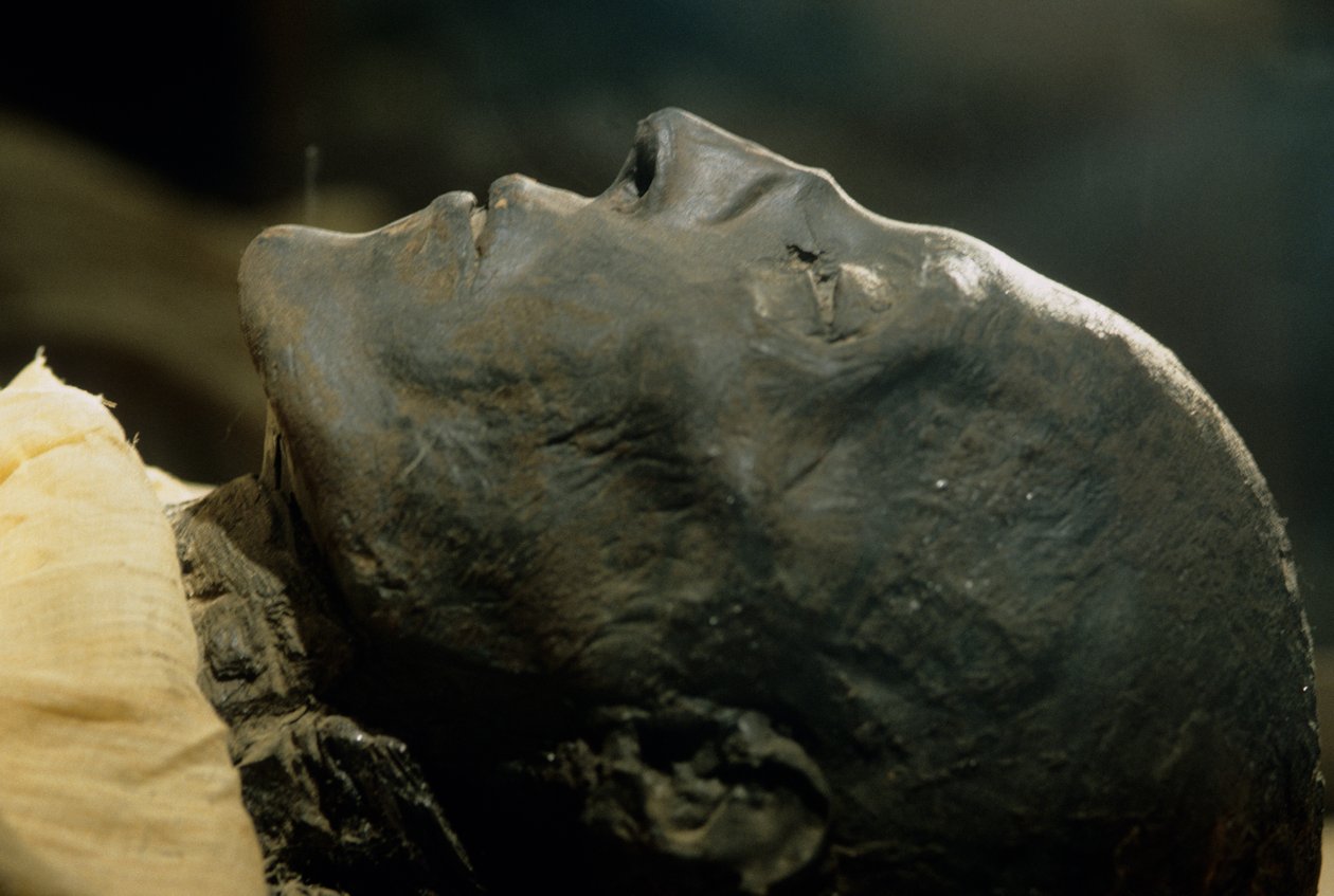 Seti I:s mumie, farao, 19:e dynastin, Nya riket, 2002 (foto) av Kenneth Garrett