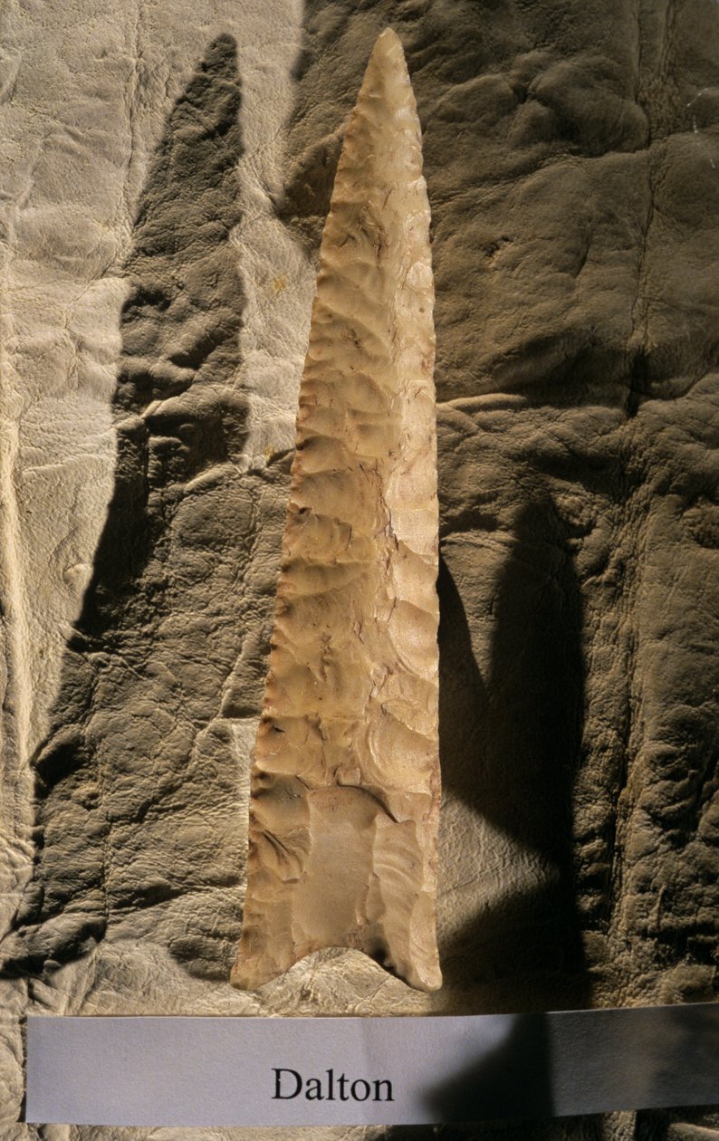 Amerikas befolkning, Dalton Point, Dennis Stanford, Smithsonian tool collection, 2008 (foto) av Kenneth Garrett