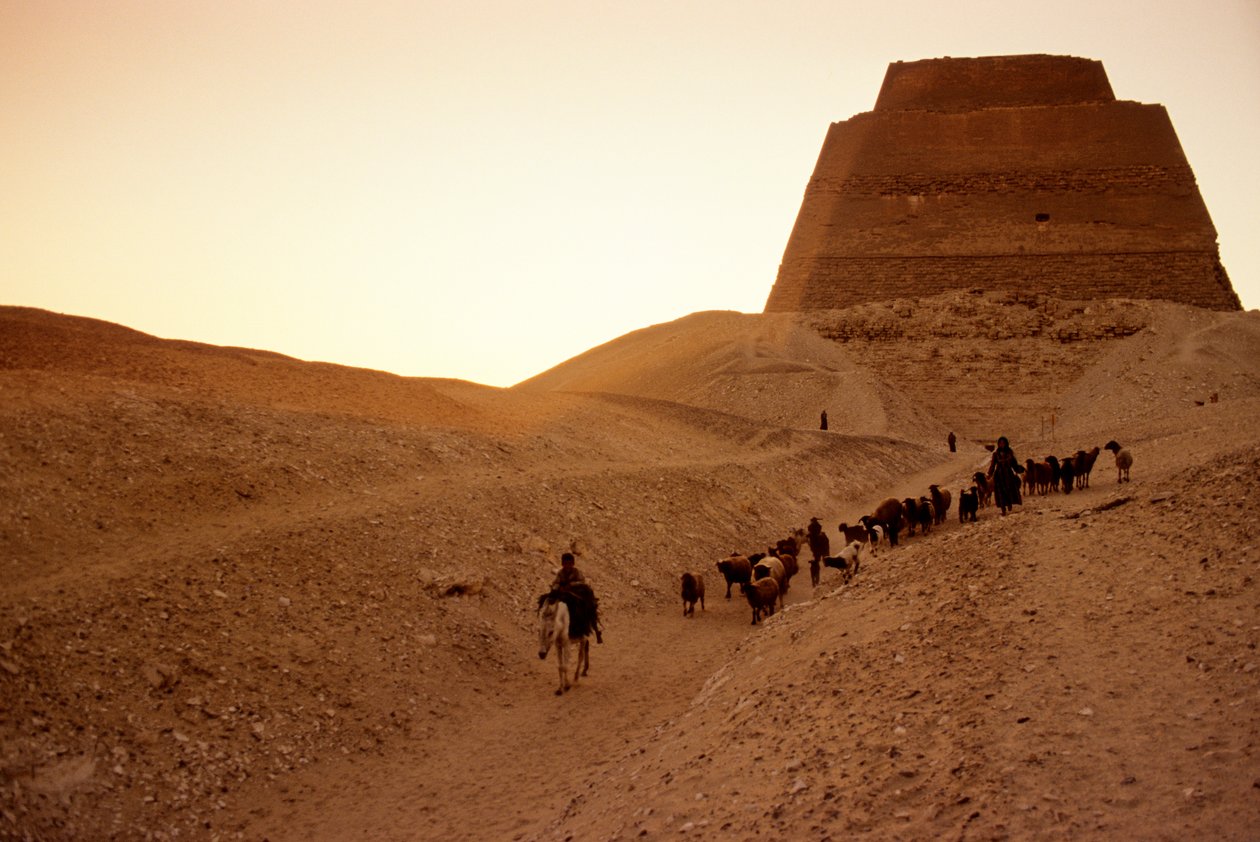 Pyramiden i Meidum, Egyptens gamla rike; Herdar; Egypten av Kenneth Garrett