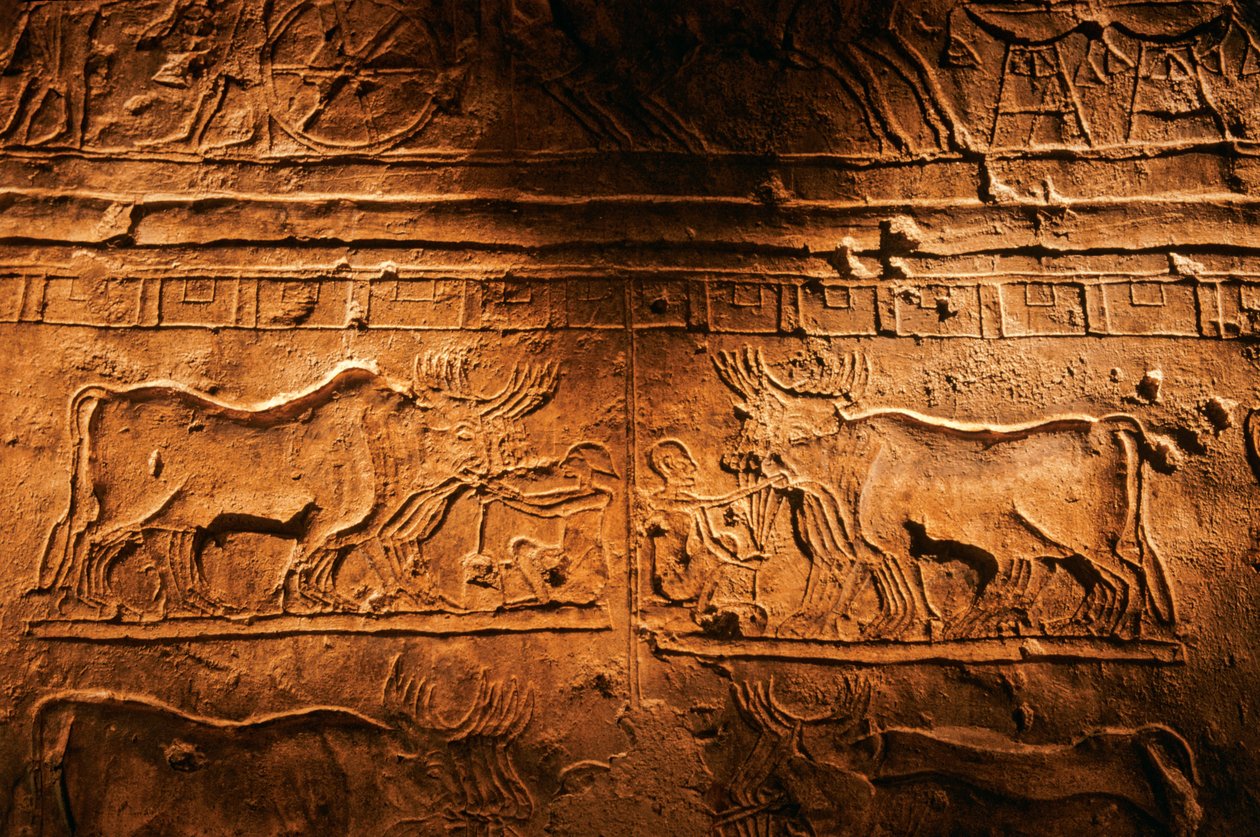 Relief från Meryre (Merera), Atens översteprästs grav vid Akhetaten" och "Fanbe..., 2001 (foto) av Kenneth Garrett
