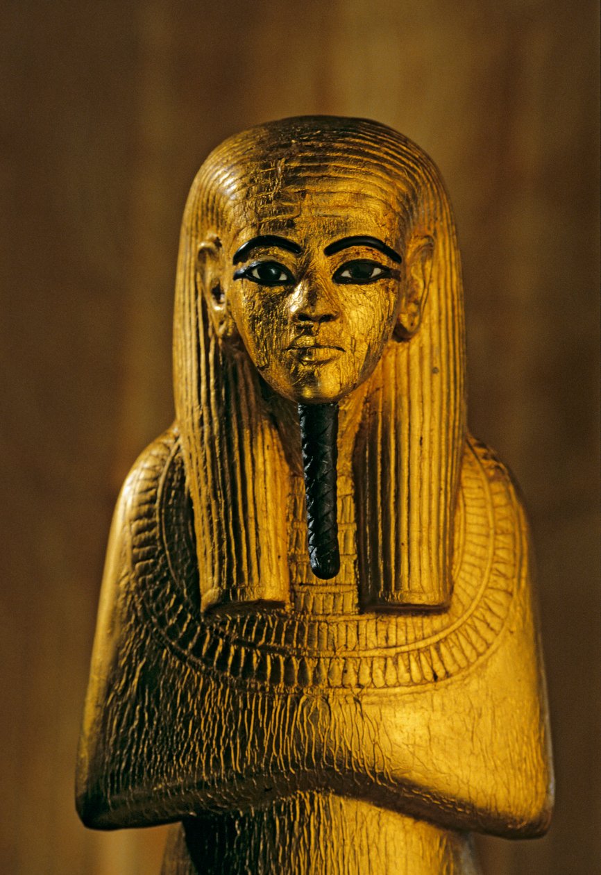 Staty av Duamutef; guld; trä, KV 62. Duamutef var, enligt forntida egyptisk religion, på..., 2009 (foto) av Kenneth Garrett