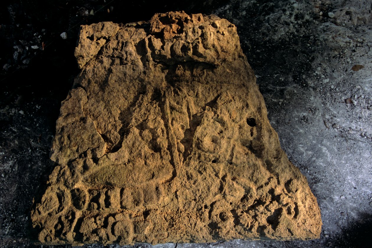 Stele, Sufricaya, Holmul, Guatemala, Maya, Francisco Estradabelli, 2008 (foto) av Kenneth Garrett