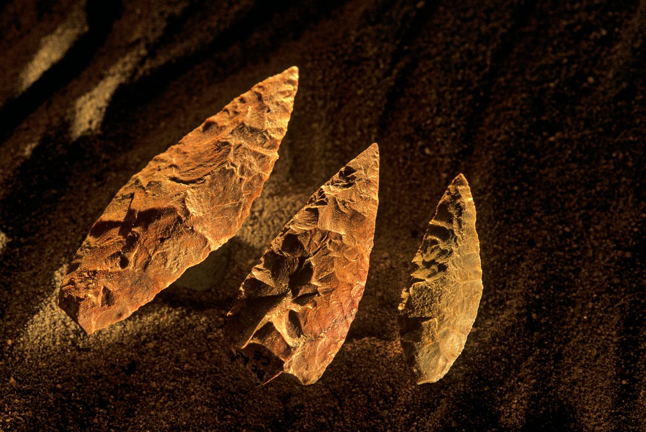 Stone Points, Kapstaden, Sydafrika, 2000 (foto) av Kenneth Garrett