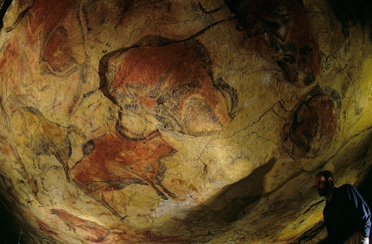 Bisonoxarnas galleri, Altamira-grottan, Spanien, 2000 (foto) av Kenneth Garrett