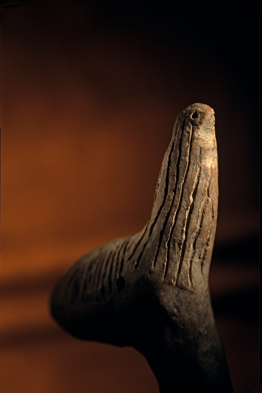 Urkesh; Hurriska; Imperiet; Syrien; 2400 f.Kr; Giorgio Buccellati; Arkeologi; EAME, artif..., 2004 (foto) av Kenneth Garrett