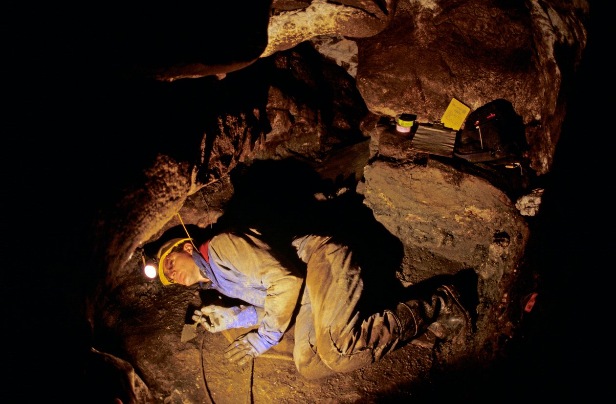 Vilka var de första amerikanerna, Timothy Heaton, utgrävning, grottan On your Knees Cave, Prince..., 2008 (foto) av Kenneth Garrett