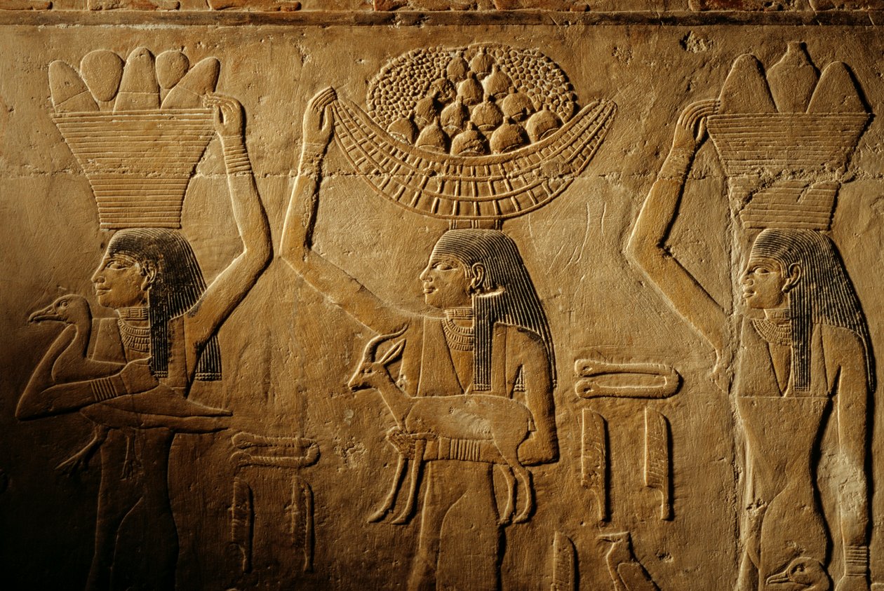Kvinnor bär bröd, fågel, get och produkter, Tiyes grav, Egypten; Gamla riket; Saqqa... av Kenneth Garrett