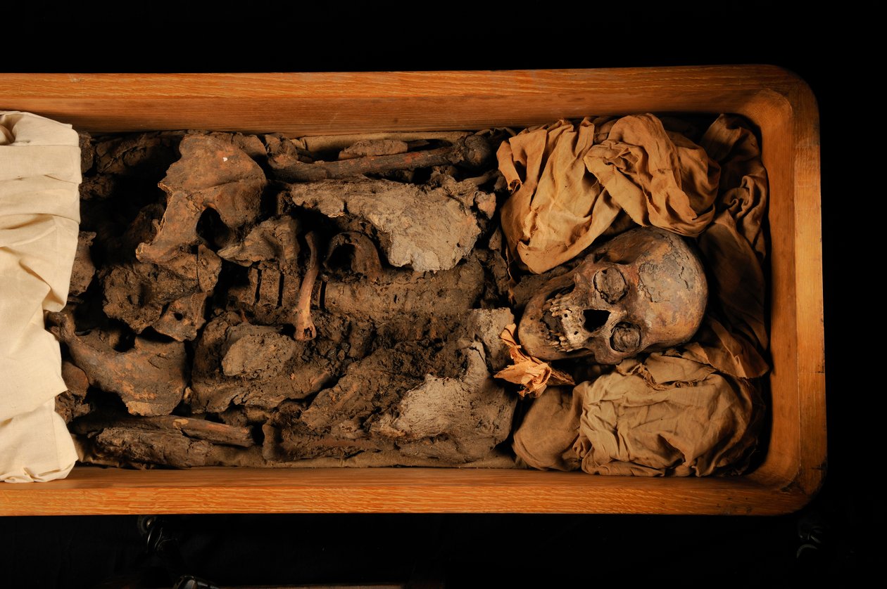 mm7864; Tutankhamun; 18:e dynastin; Nya riket; Egyptiska museet; Kairo; DNA; samp..., 2005 (foto) av Kenneth Garrett