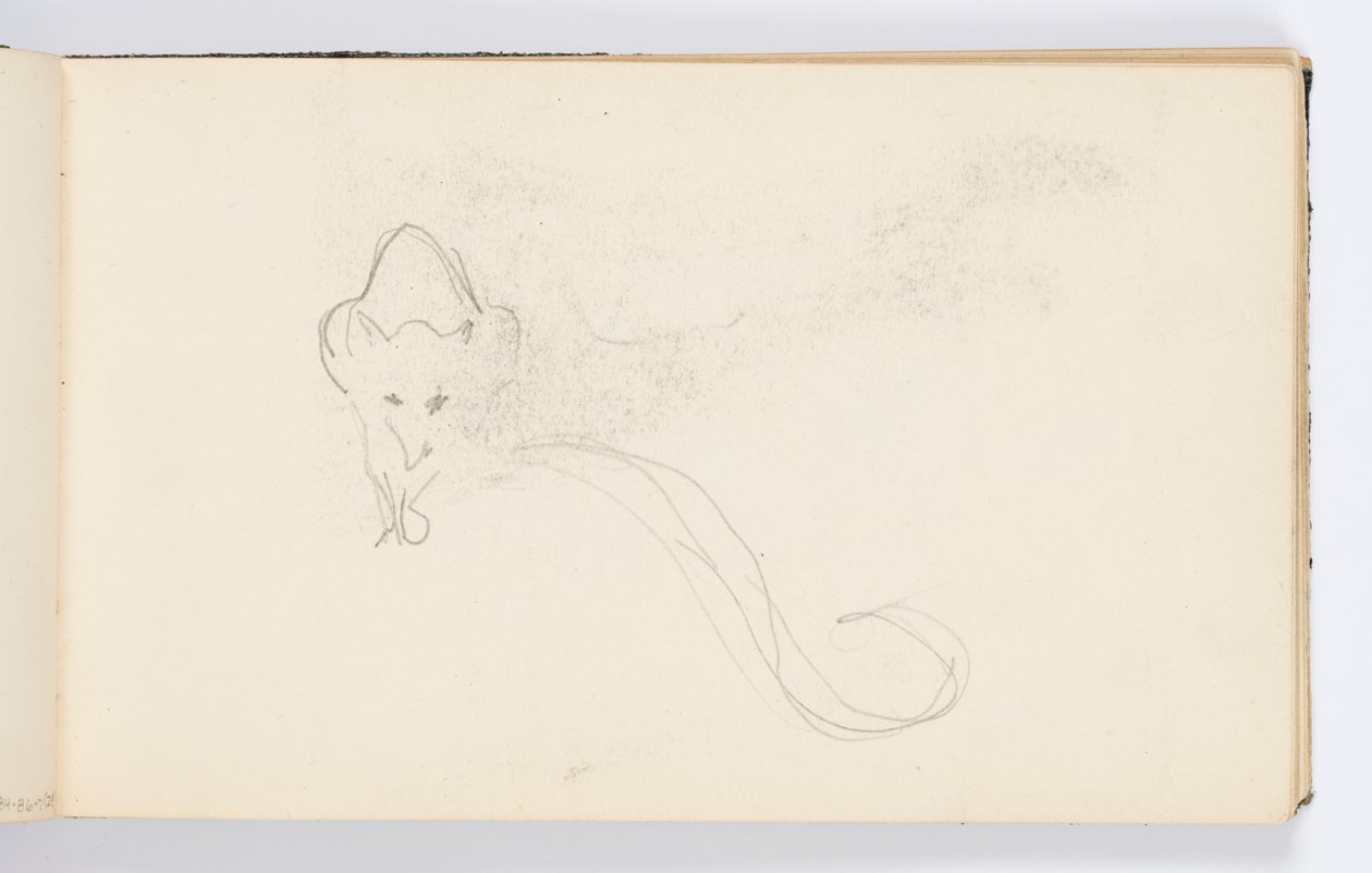 Skissbokssida: Sketch of a Genet av Kenyon Cox