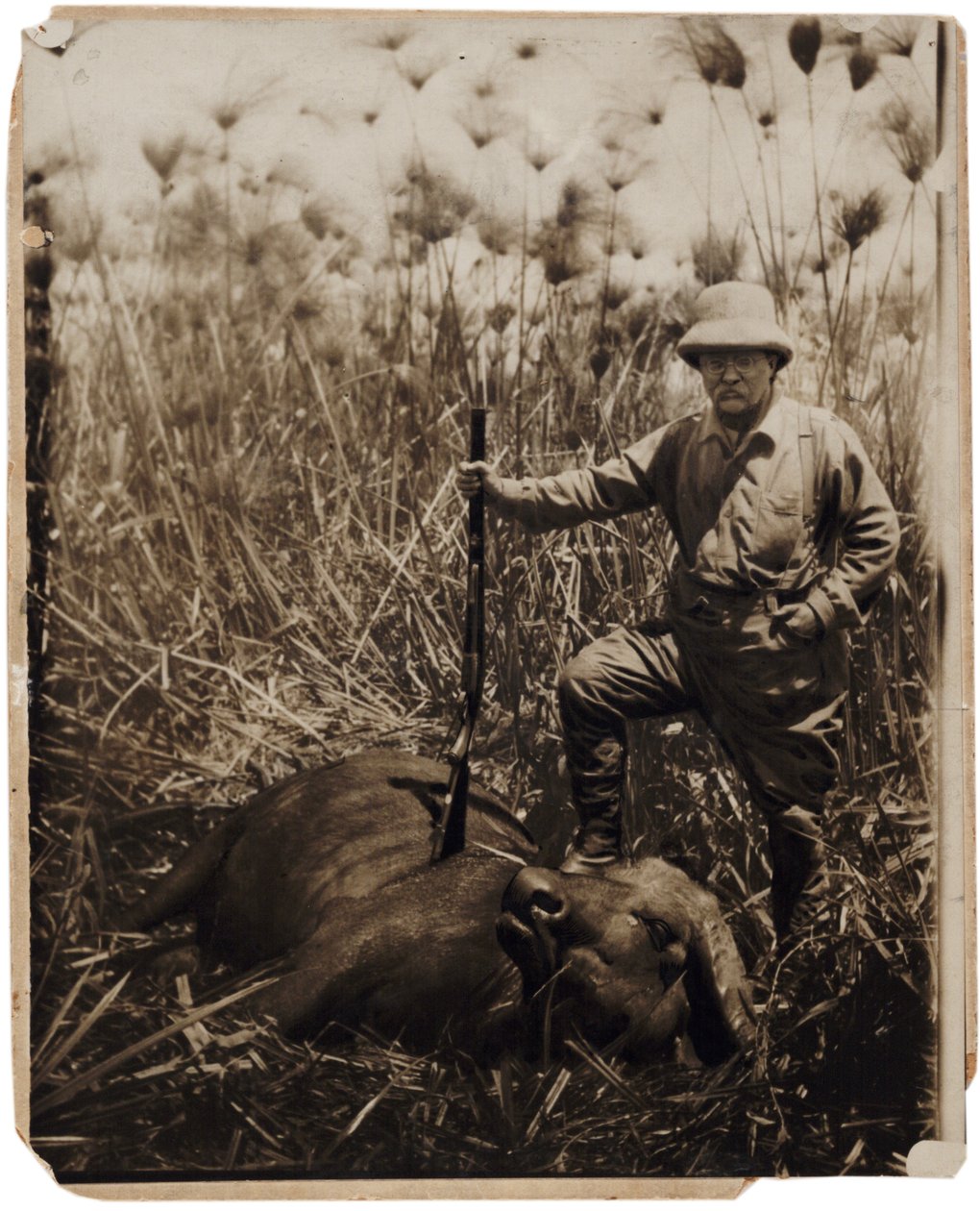 Överste Roosevelt står bredvid en vattenbuffel som han har skjutit (sepiafoto) av Kermit Roosevelt