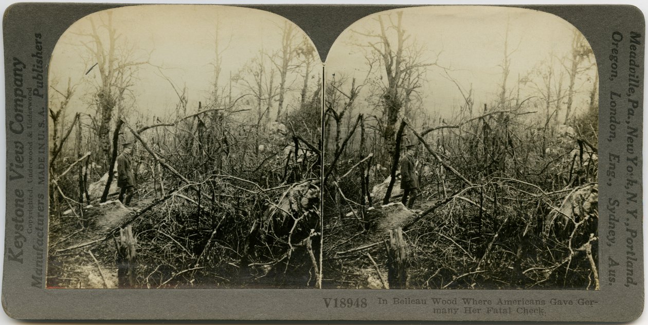 Horizontal, sepia stereocard showing a uniformed man walking through an area covered with destroyed trees. Keystone Stereograph number V18948. The title reads av Keystone View Company