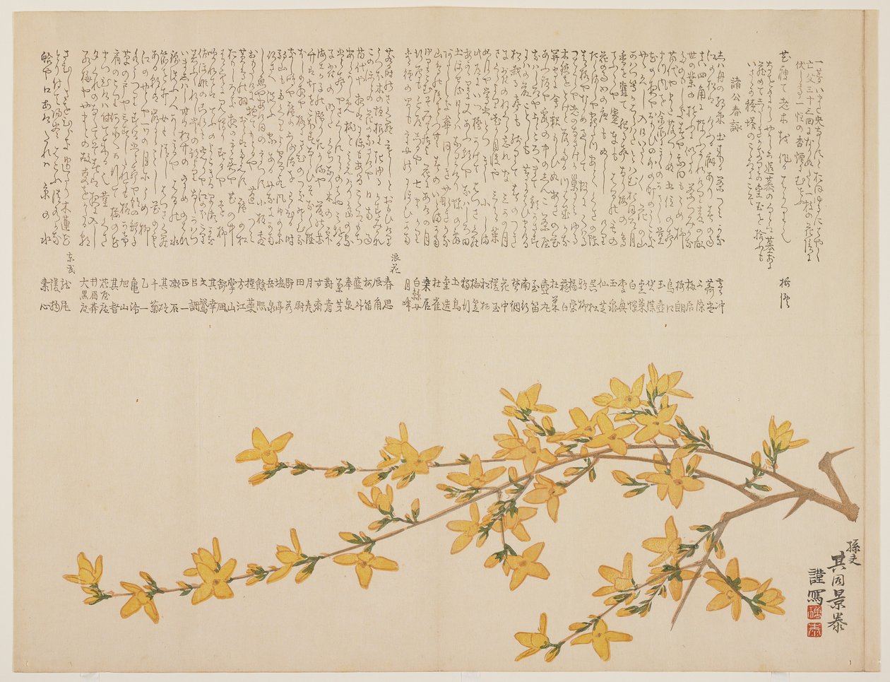 Japanese Yellow Rose, eller Yamabuki, ca 1818-29 (träblockstryck i färg) av Kid Kageyasu