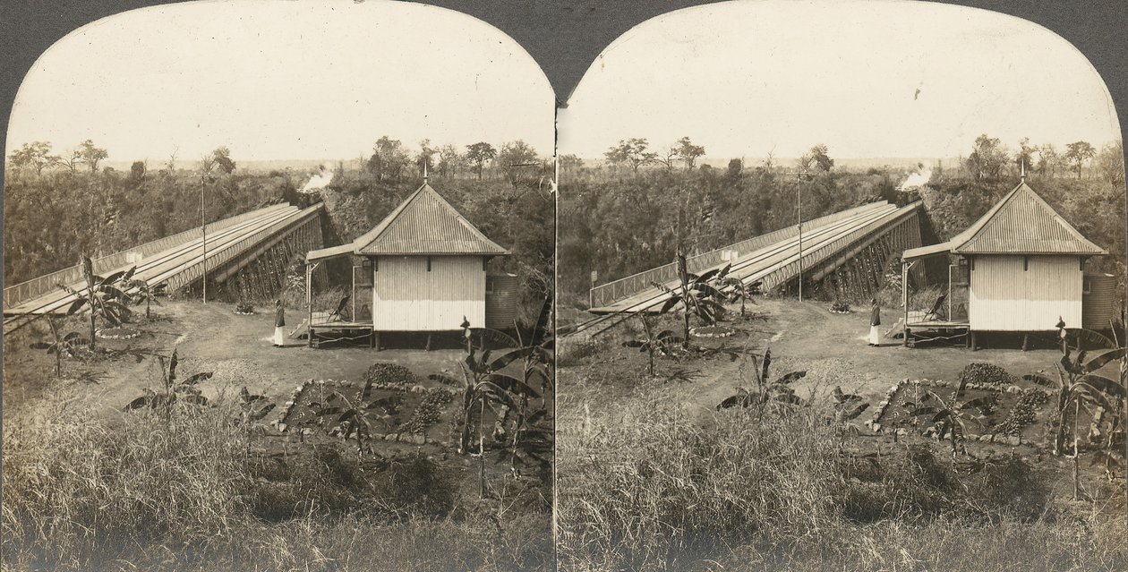 Grupp med 14 stereografer av Afrika och skådespelare, 1850-1910-talet. av Kilburn Brothers