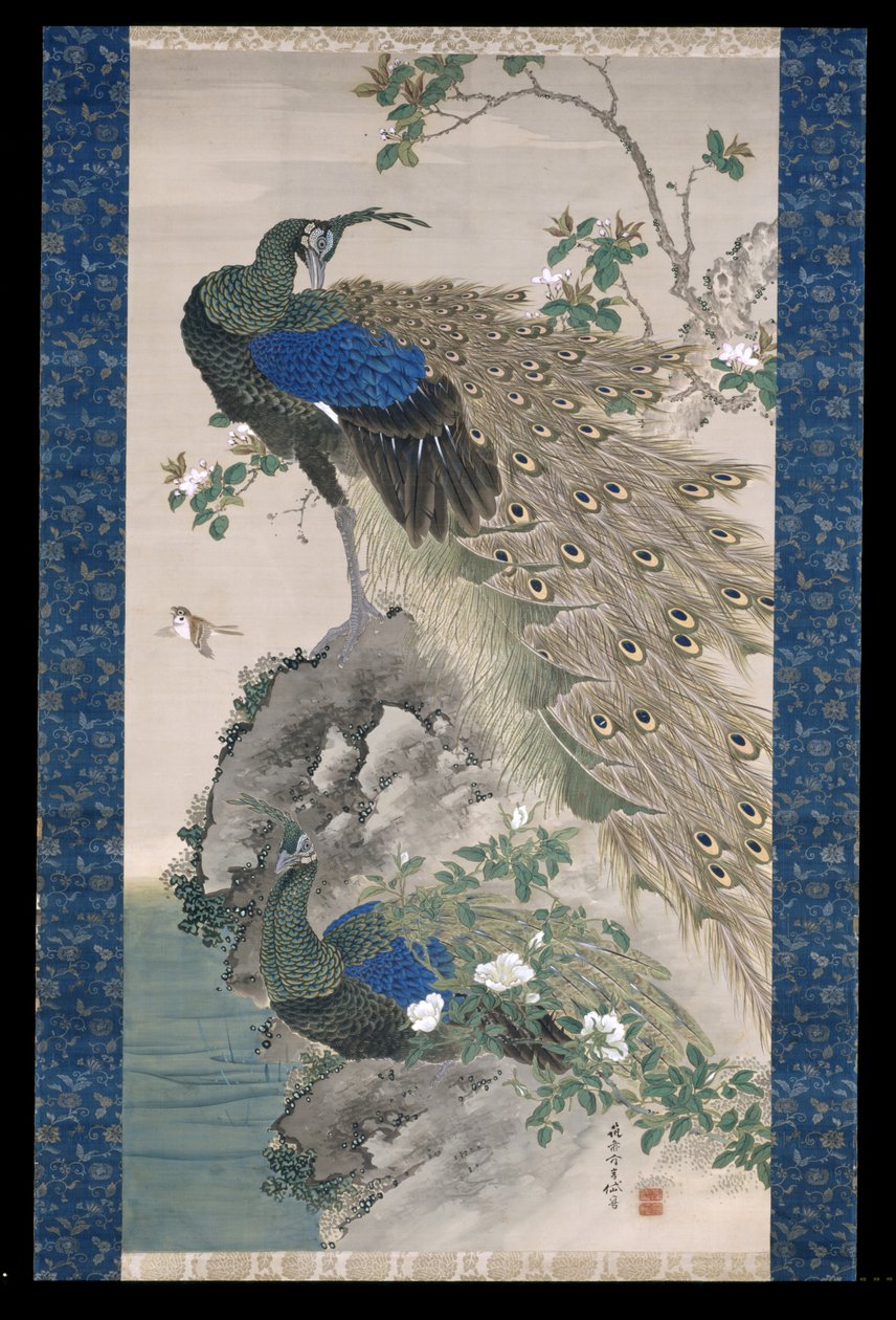 Cherry-Apple And Peacocks On Rock (bläck och färger på siden) av Kishi Ganku