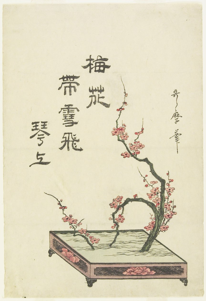 (Plommonblommarrangemang) av Kitagawa Utamaro