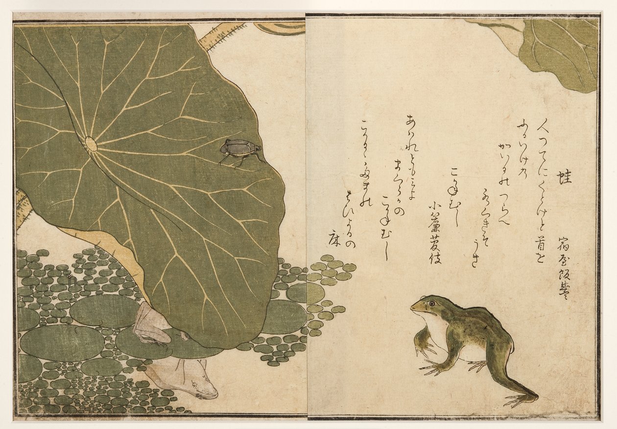 Grodor och gyllene insektsbagge, 1788 (träblock) av Kitagawa Utamaro