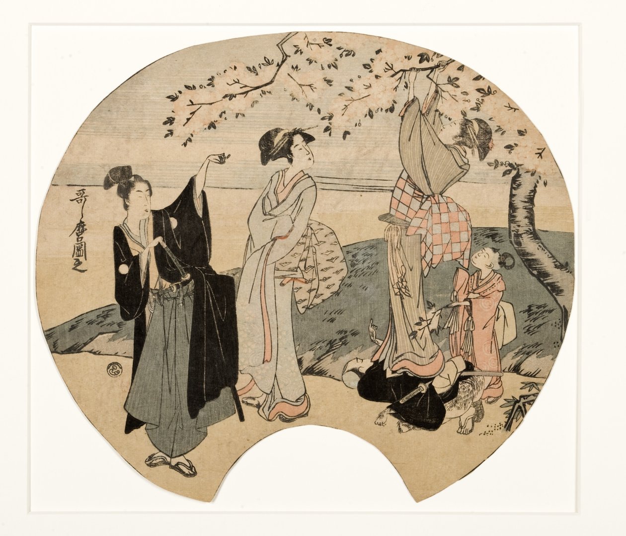 Tittar på körsbärsblommor, 1794-96 (träblock) av Kitagawa Utamaro