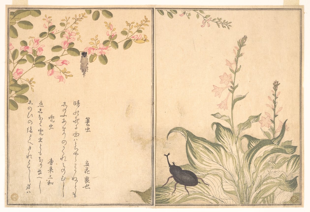 Säckspinnarlarv (Minomushi); noshörningsbagge (Kabutomushi), ur Bilderboken om krypande varelser (Ehon mushi erami) av Kitagawa Utamaro
