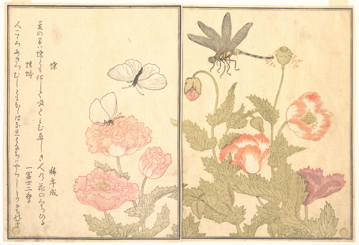 Fjäril (Chō); Trollslända (Kagerō eller Tonbo), ur Bilderboken om krypande varelser (Ehon mushi erami) av Kitagawa Utamaro