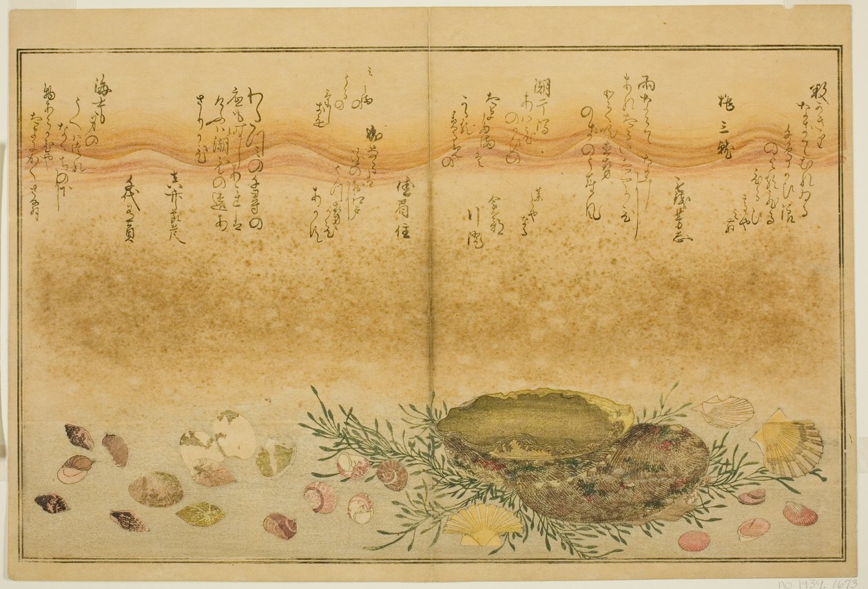 Chidori - utanför, smärta - utanför, abalone, rör sig - utanför, musslor - utanför, det finns en idé för Allah, från latte bracts of av Kitagawa Utamaro