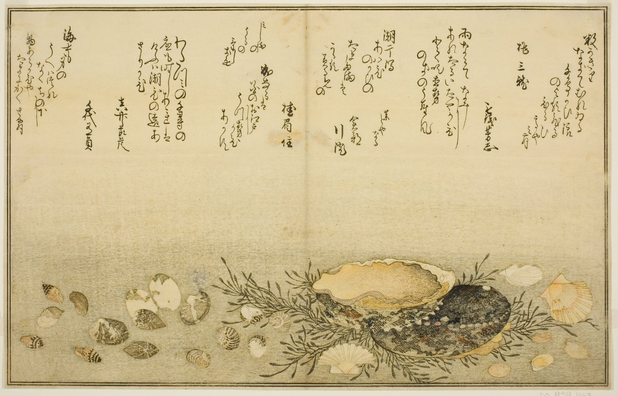 Chidori - utanför, smärta - utanför, abalone, rör sig - utanför, musslor - utanför, det finns en idé för Allah, från latte bracts of av Kitagawa Utamaro