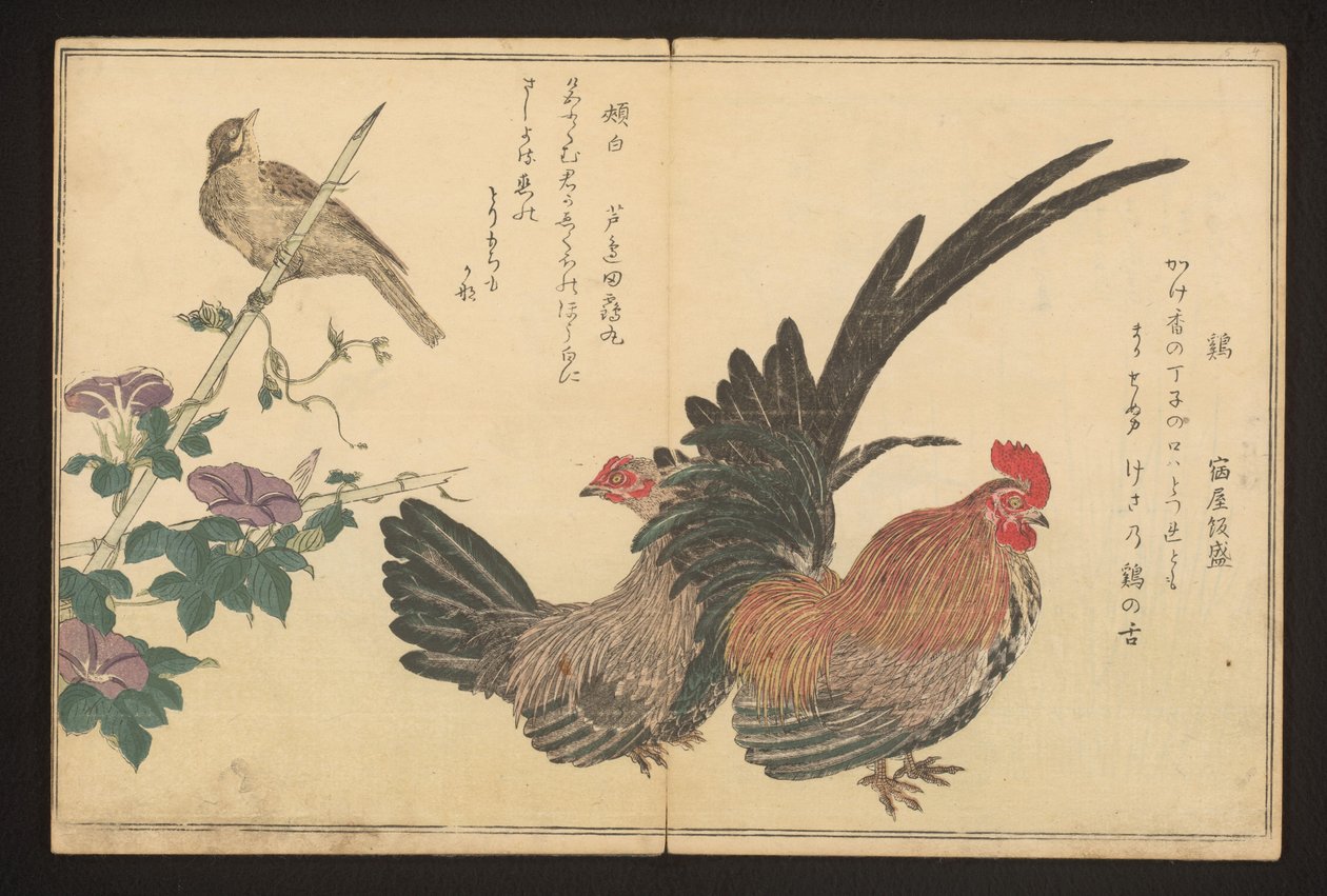 Tupp och bunting av Kitagawa Utamaro