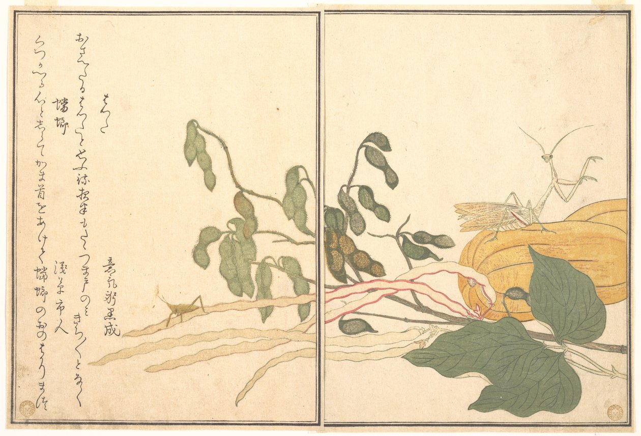 Konhuvad gräshoppa eller gräshoppssvärm (batta); bönsyrsa (Tōrō eller Kamakiri), ur Bildboken om krypande varelser (Ehon mushi erami) av Kitagawa Utamaro