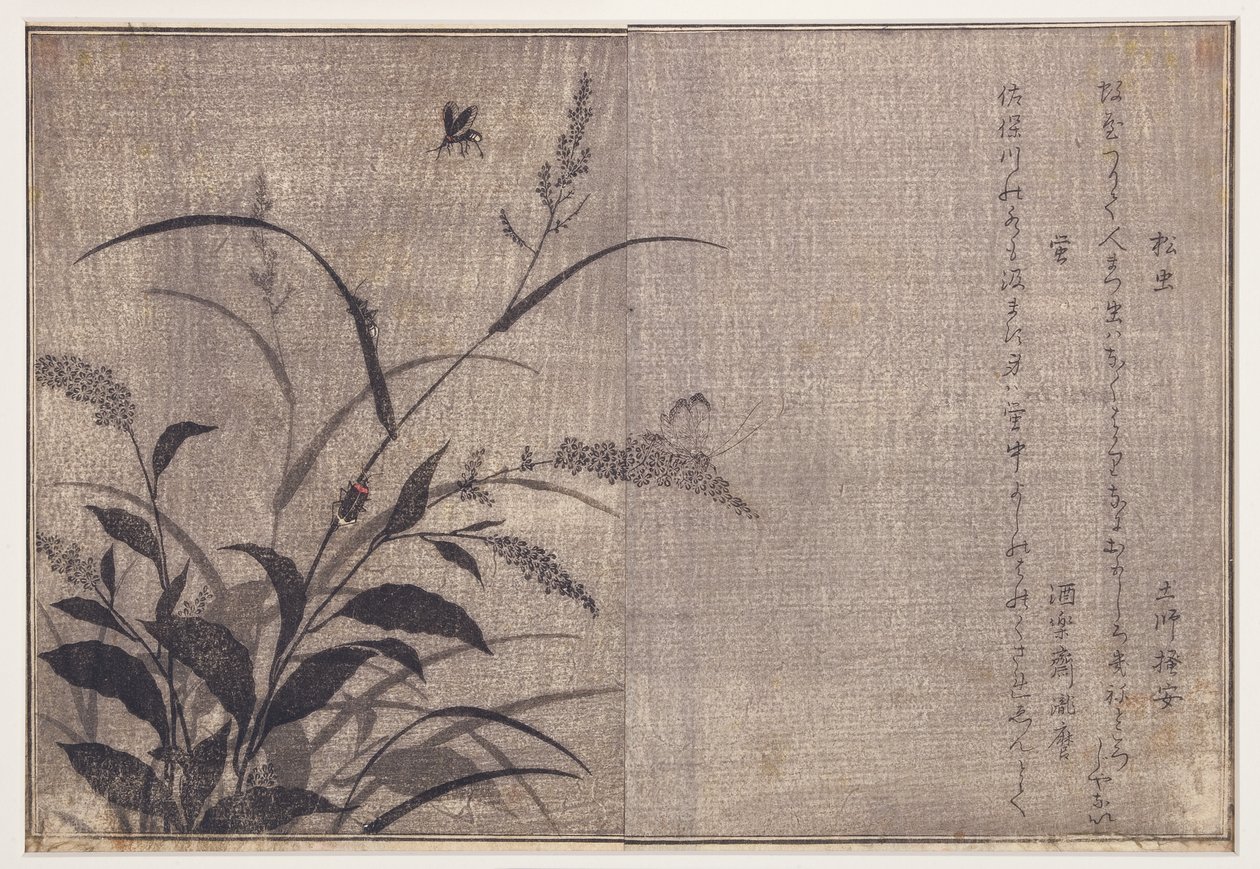 Cricket och eldflugor, 1788 (träblock) av Kitagawa Utamaro