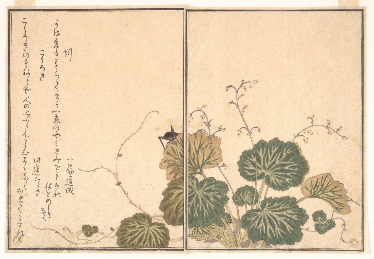 Daggmask (Mimizu); syrsa (Kōrogi), ur Bilderboken med krypande varelser (Ehon mushi erami) av Kitagawa Utamaro