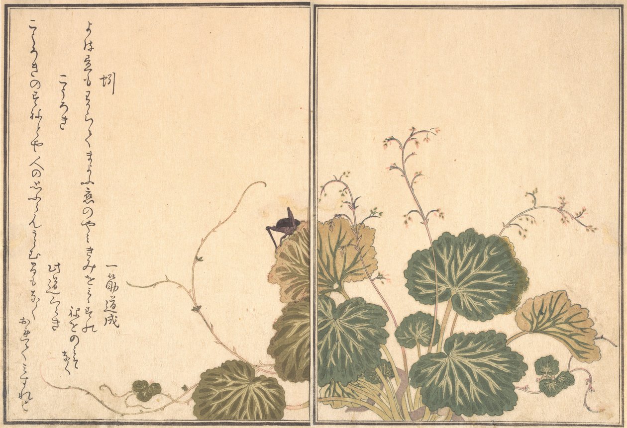 Daggmask Mimizu, Cricket Korogi..., 1788. av Kitagawa Utamaro