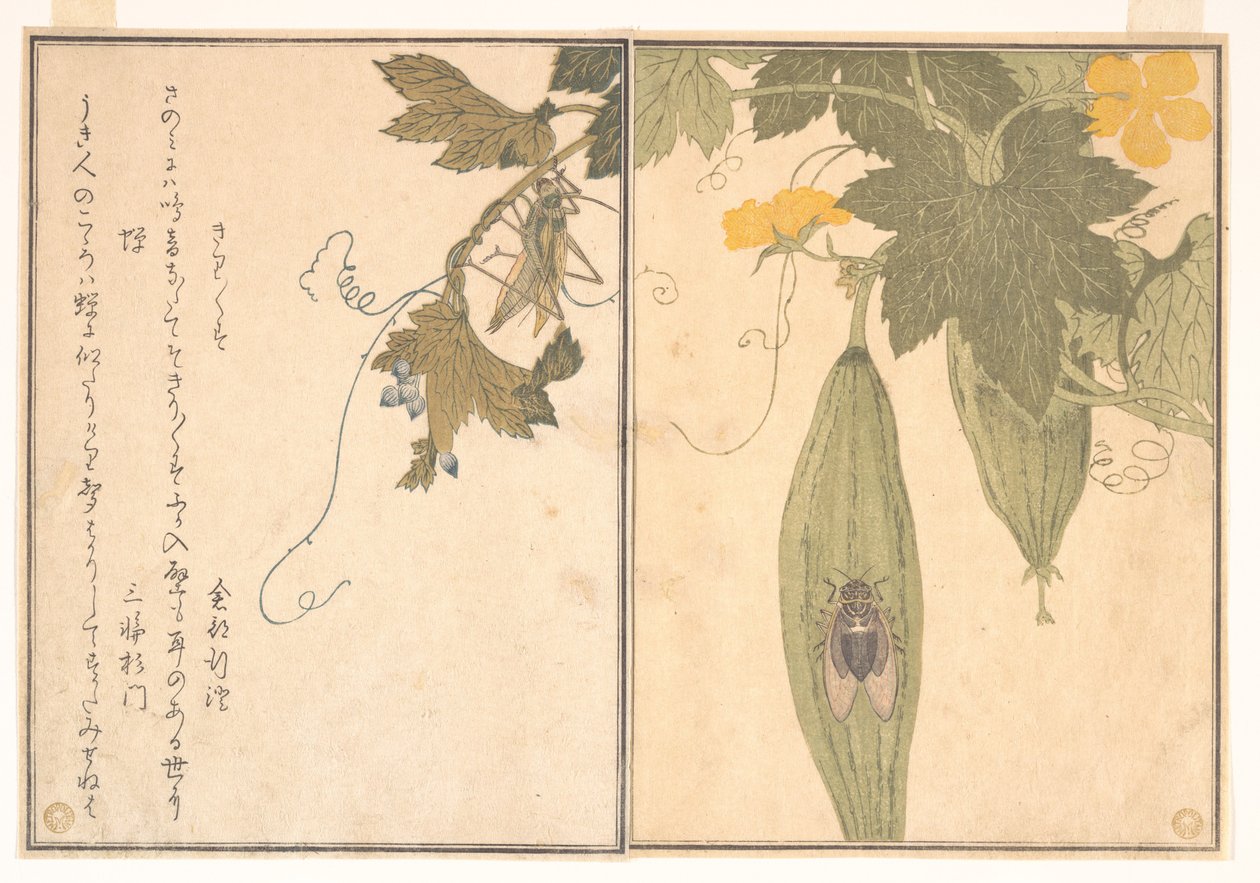 Gräshoppa (Kirigirisu); cikada (Semi), ur Bildboken med krypande varelser (Ehon mushi erami) av Kitagawa Utamaro