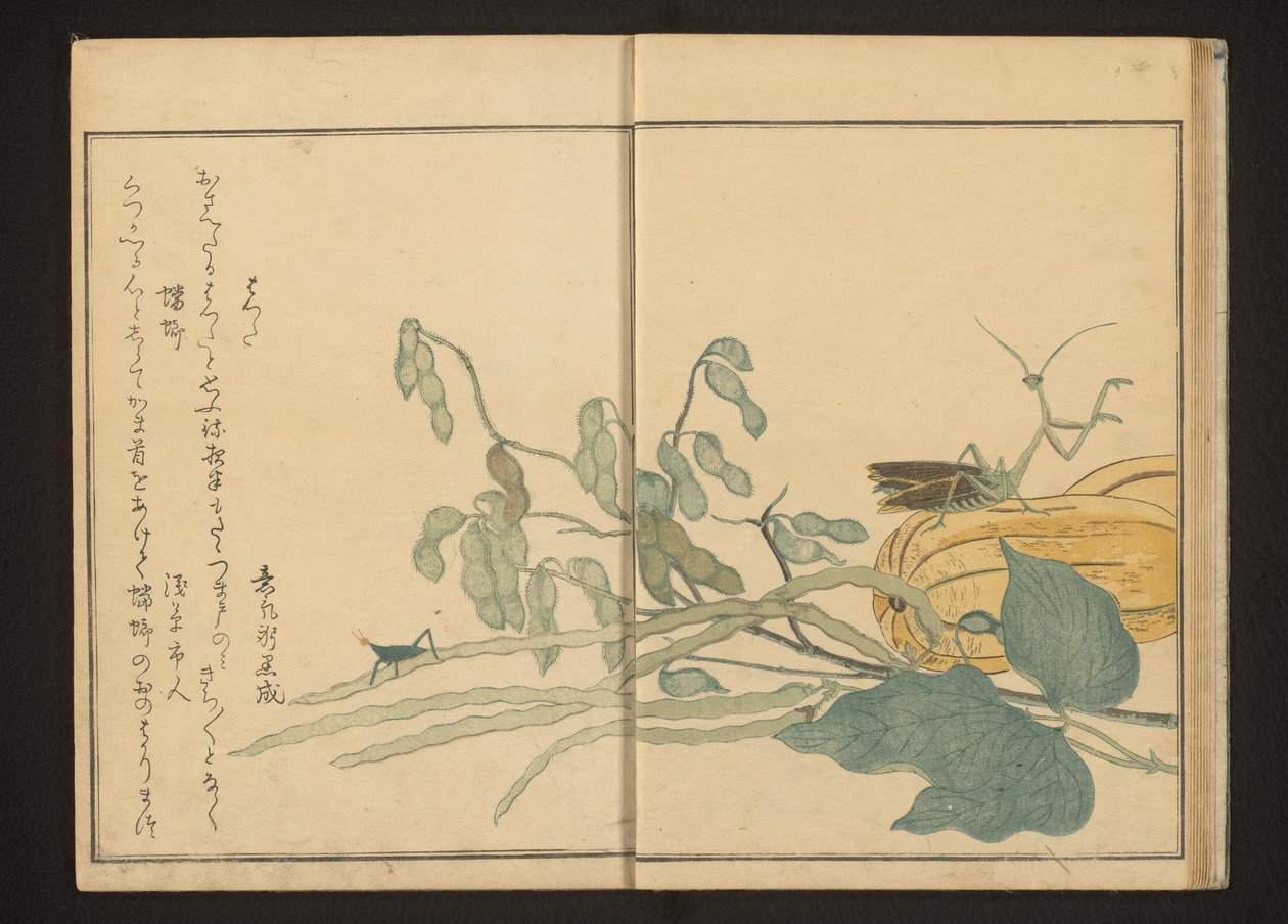 Gräshoppa på böna och bönsyrsa på melon av Kitagawa Utamaro