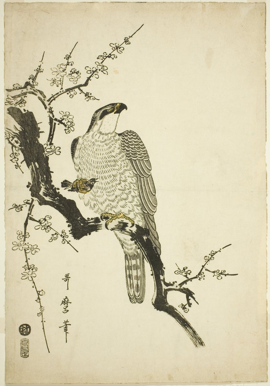 Hök på en plommongren av Kitagawa Utamaro